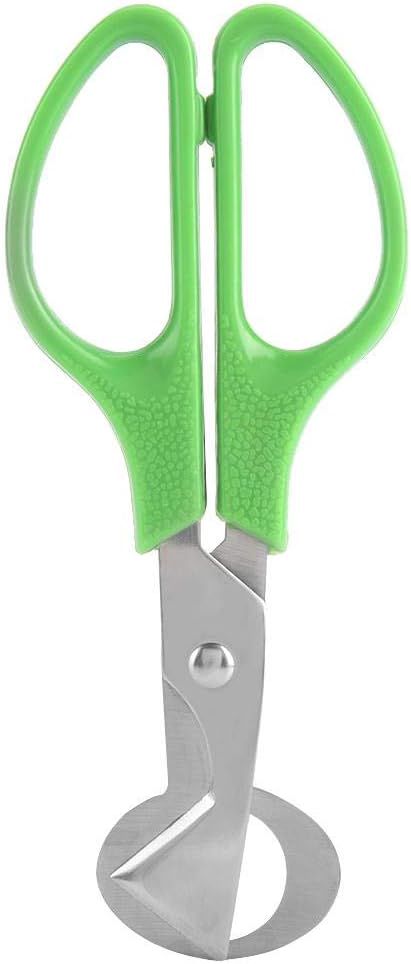 Eischere, tragbare Edelstahl-Wachtelei-Scheren-Eierschneider-Öffner Eggs Clipper Kitchen Tool mit Hartplastikgriff, Anti-Rost/Anti-Rutsch
