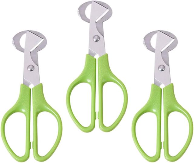 Toyvian Multifunktionaler Eierschneider aus Edelstahl und ABS 3 Stück Wachteleierschere mit Ergonomischem Design in Grün für Party und Barbecue