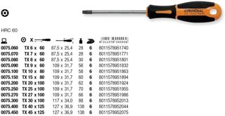 Schraubendreher für Torx mit Bohrung TX10 x 80