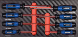 Projahn Schraubendreher Einlage Torx 8-teilig 5999-062