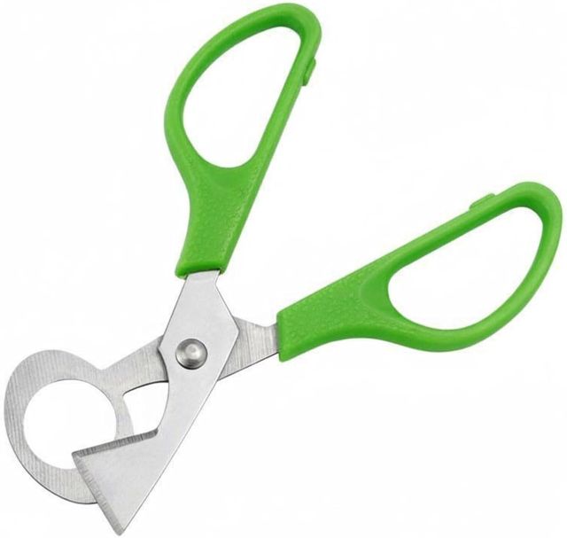 Eierschneider Quail Egg Cutter Eiöffner Eierschere Küchenutensil Edelstahlkanten mit Ergonomischem PP Handgriff Leichtes Öffnen für Und Kleine Vogeleier für Zuhause Restaurant, Grün