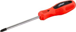 Rolson 11210 PZ2 x 100 mm Schraubendreher – Mehrfarbig