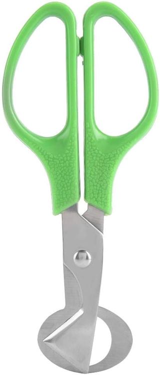 Eischere, tragbare Edelstahl-Wachtelei-Scheren-Eierschneider-Öffner Eggs Clipper Kitchen Tool mit Hartplastikgriff, Anti-Rost/Anti-Rutsch