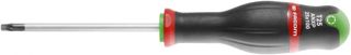 FACOM Schraubendreher Protwist, Torx Plus, T25X100 mm, 1 Stück, ANXP25X100