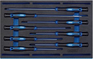 Draper Tools Extra langer Präzisions-Schraubendrehersatz (8-teilig)